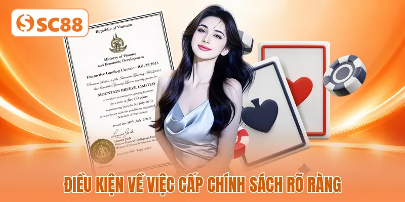 Điều kiện về việc cấp chính sách rõ ràng