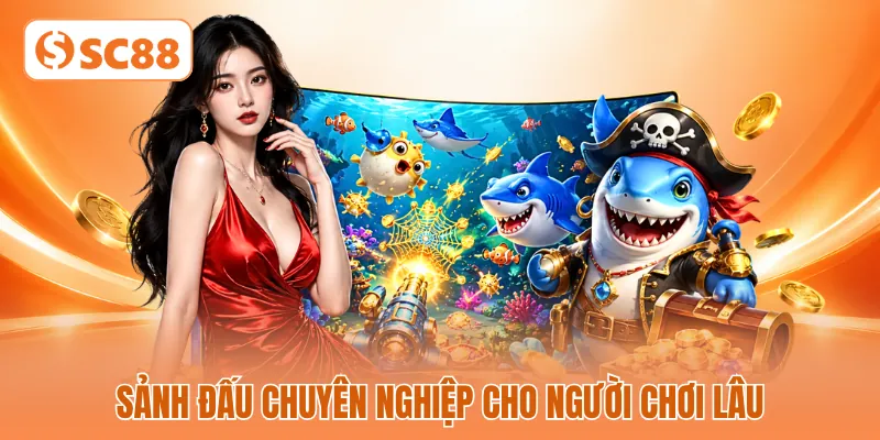 Sảnh đấu chuyên nghiệp cho người chơi lâu